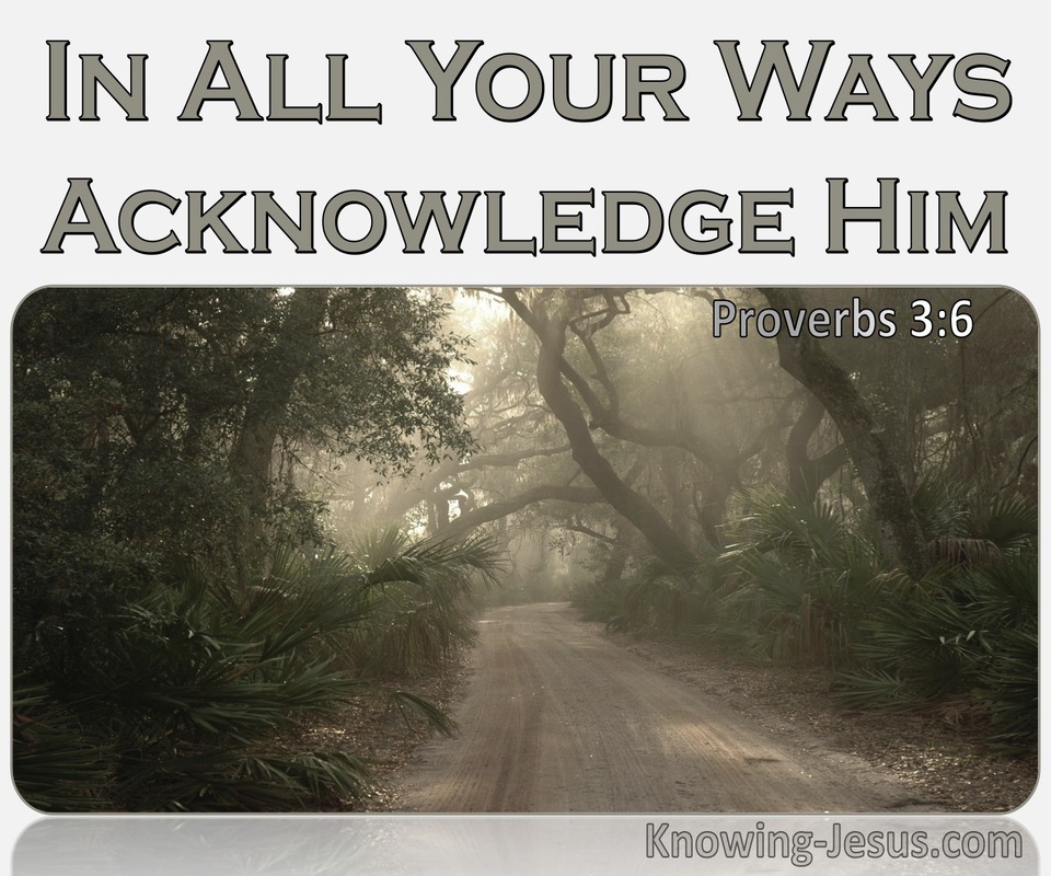 Proverbs 3:6 In All Your Ways Acknowledge Him (gray)